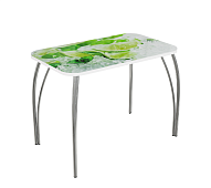 Стол обеденный прямоугольный ВВР стекло с фотопечатью (Лайм 2/Подстолье чайка)