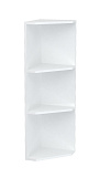 Шкаф верхний торцевой ШВПУ 920*300 (Белый)